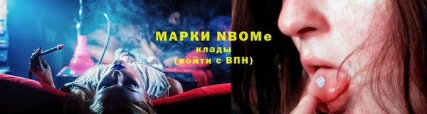 крисы Тайга