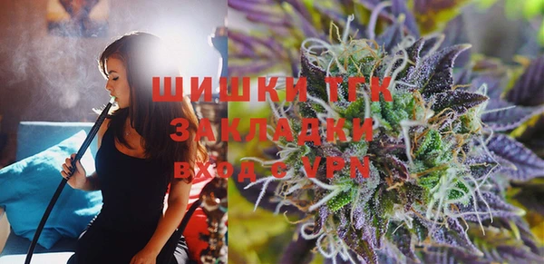 mix Бородино
