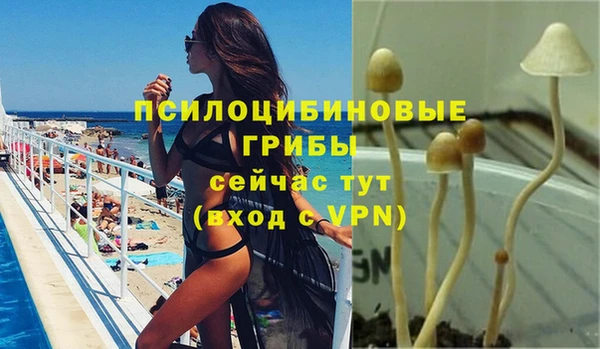 бутират Богданович