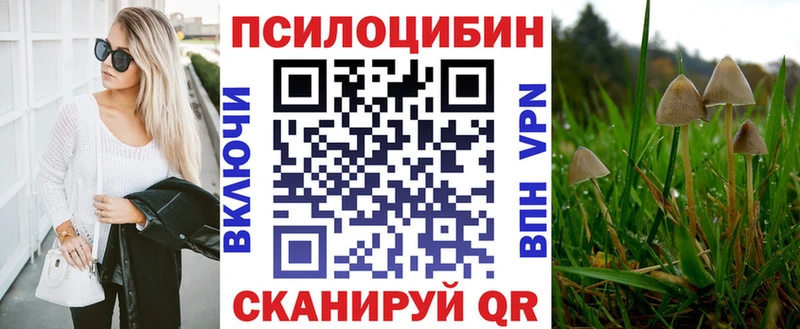 купить наркотик  Гулькевичи  Галлюциногенные грибы мицелий 