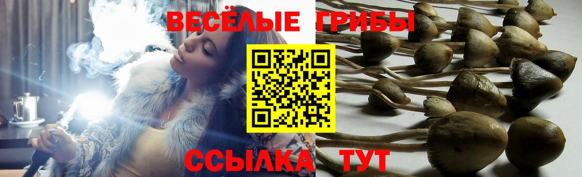 Галлюциногенные грибы мухоморы  Вход с VPN  Галлюциногенные грибы мухоморы  Гулькевичи 