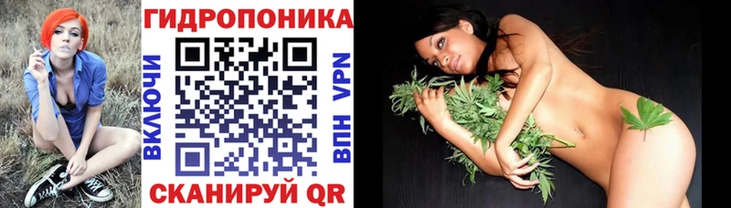 закладка  Гулькевичи  Марихуана White Widow 